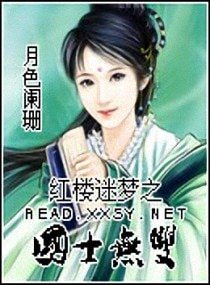 (BG/红楼同人)红楼迷梦之国士无双